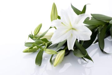Probate Solicitors Birmingham